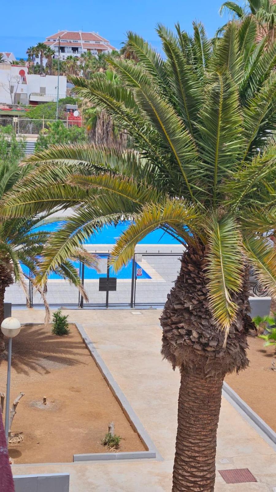 Paraiso Altemar, Duplex Las Americas Playa de las Américas Buitenkant foto